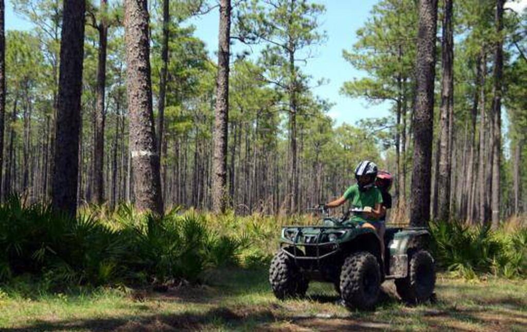 Best ATV Miami Tours for Beginners and Pros