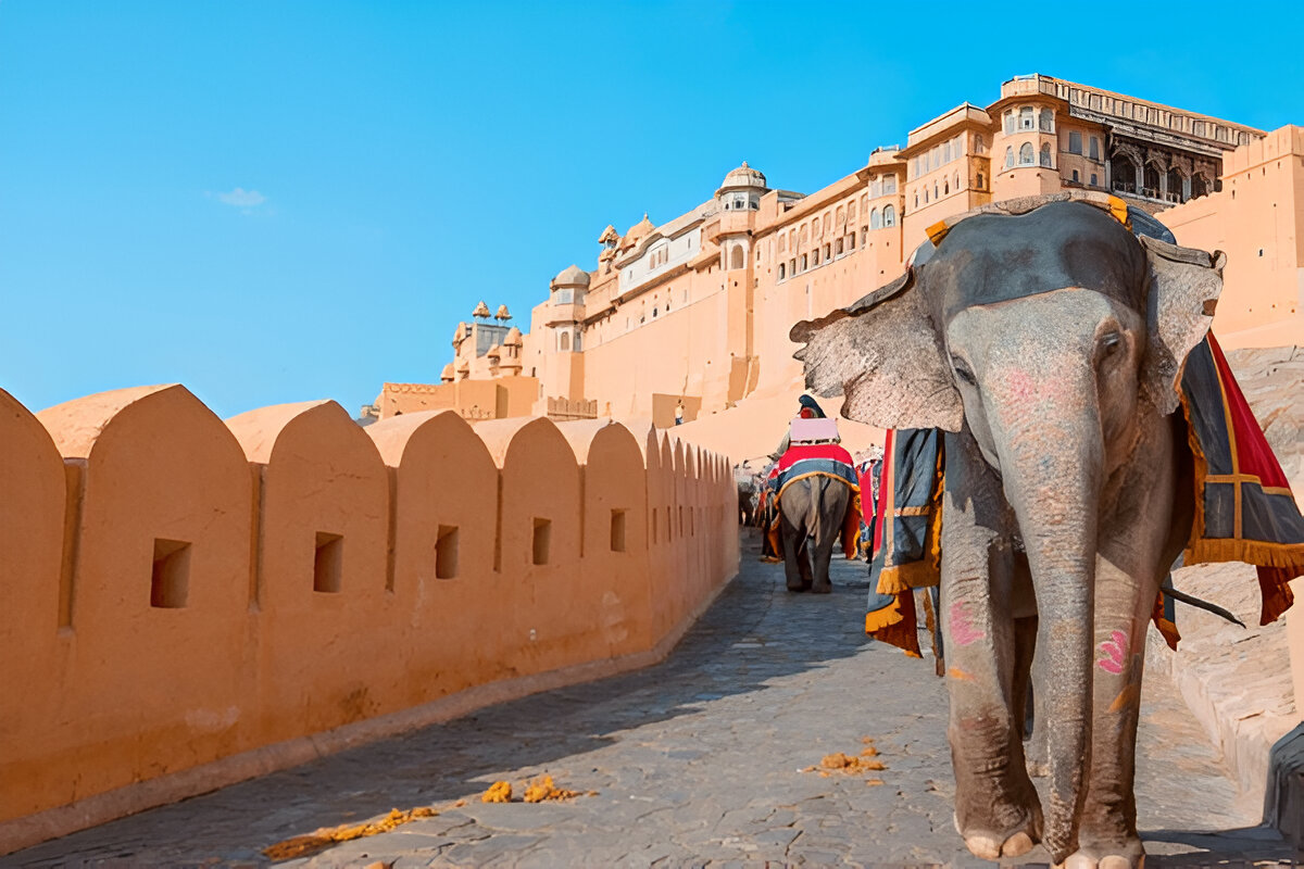 How India’s Diverse Job Market is Shaping Global Careers